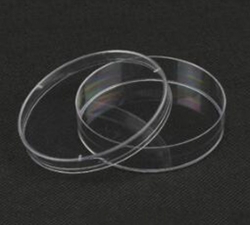 培養皿（FFA003）