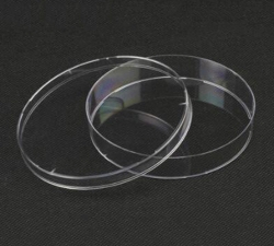 培養皿（FFA004）