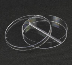 培養皿（FFA005）